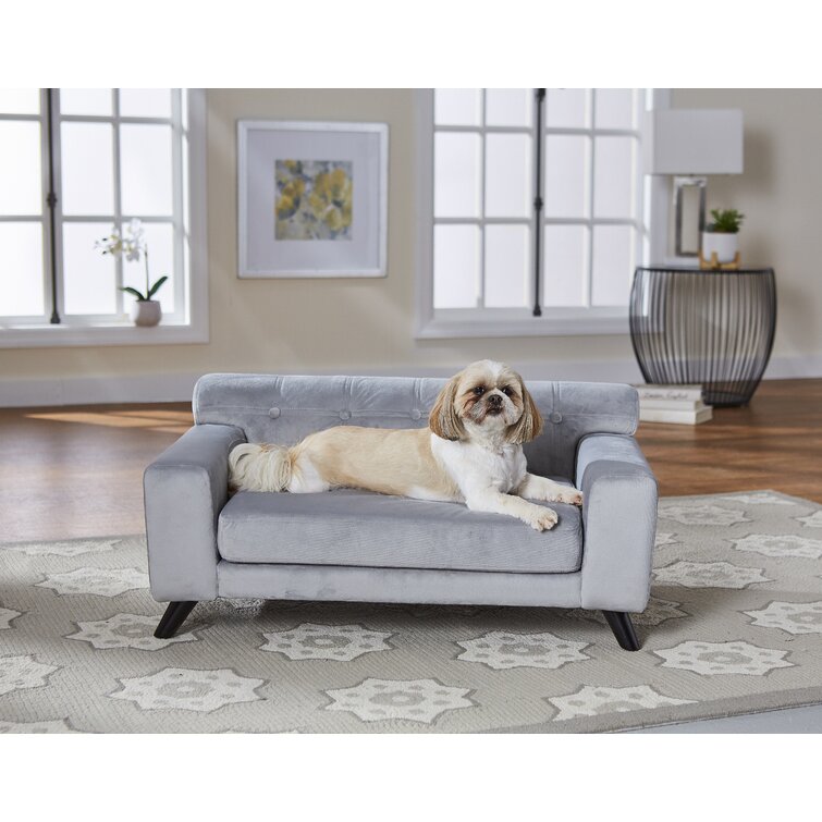 Wayfair dog outlet sofa